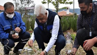 Yerel Tohumlar 2022 için Toprakla Buluştu