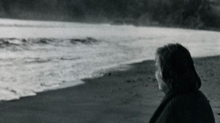 Çevrimiçi Söyleşi: “Etel Adnan: Hayatı, Eseri, Şehirleri”