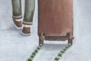 Dünyanın turizm temalı tek yarışmasında ödüller sahiplerini buldu