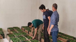 Hishtil-Toros Fidecilik’in desteğiyle Suriye’de binlerce fide yeşerecek