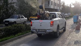 Kronomid sineklerle kaynağında mücadele