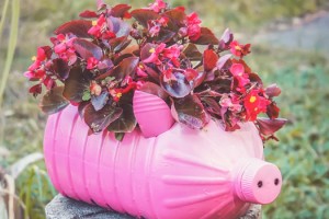 Okul Dışarıda Günü 100 Binin Üzerinde Çocuğun Katılımıyla Gerçekleştirildi