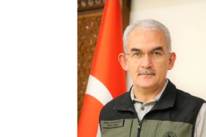 Ormanı Gençleştirme Yangınların Etkisini Azaltıyor