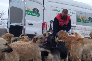 Tüpraş, Sokak Hayvanlarının Yiyecek İhtiyacı için Desteğini Sürdürüyor