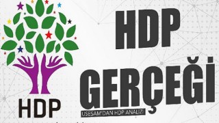USESAM’dan HDP Analizi