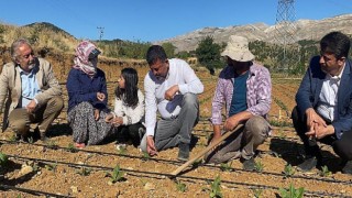 CHP Adıyaman tütün üreticilerinin yanında