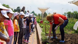 Fideler “minik ellerle” yeşerdi