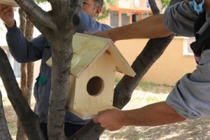 Gölbaşı Belediye Başkanı Ramazan Şimşek’ten Minik Canlara Yuva