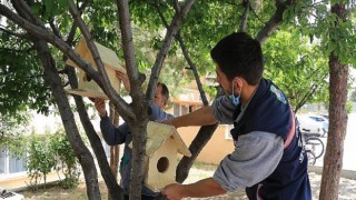 Gölbaşı Belediye Başkanı Ramazan Şimşek’ten Minik Canlara Yuva