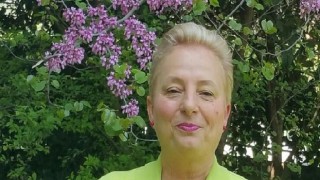 İklim Krizi ve Kitlesel Yok Oluş karşısında gelecek 10 yıl son şansımız