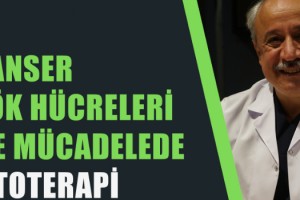 KANSER KÖK HÜCRELERİ İLE MÜCADELEDE FİTOTERAPİ