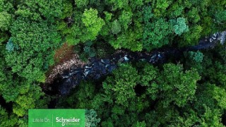 Schneider Electric global biyoçeşitlilik kaybıyla mücadele taahhüdünün ayrıntılarını açıkladı