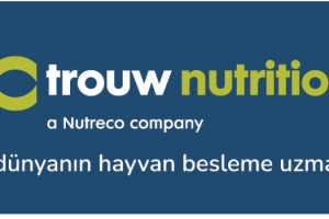 Yem endüstrisi MyNutriOpt ile dijitalleşiyor