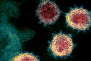 DÜNYA GENELİNDE DELTA VARYANTI PANİĞİ