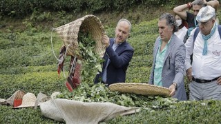 GastroRize Günleri Başladı