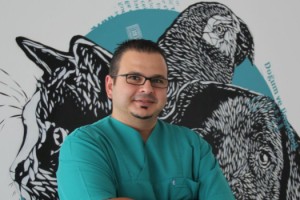 Köpeğinizin Geleceğini Tehdit Eden Risk: Meme Tümörleri... 