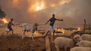 Arıcılara Topyekün Destek Çağrısı