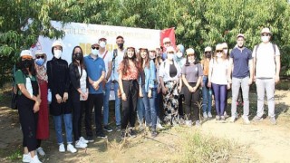 Dalındaki şeftaliyi hasat edip ihtiyaç sahiplerine yolladılar