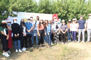 Dalındaki şeftaliyi hasat edip ihtiyaç sahiplerine yolladılar