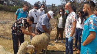 İYİ Gençlik afet bölgesinde