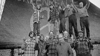 Greenpeace’in 50 Yıllık Çevre Mücadelesini Anıyoruz.