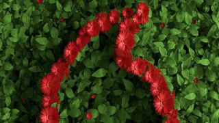 Vodafone, Çevre kampanyasına katılan her müşterisi için WWF-Türkiye’ye bağış yapacak