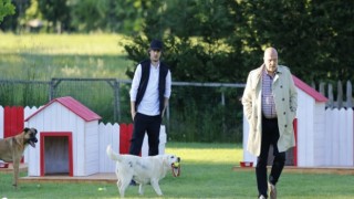 4 Ekim Hayvanları Koruma Günü’nde Bunu Bi’ Düşünün!