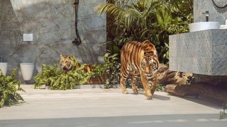 Bien Unicera Fuarı’nda görsel şov sunacak