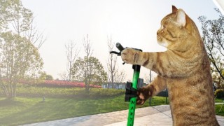 Vodafone’lulara Martı’da İndirimli Sürüş Ayrıcalığı