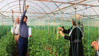 Büyükşehir’in ücretsiz tuzak dağıtımı sürüyor