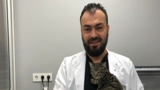 Evcil Hayvanlarda Yüksekten Düşme ile Çok Sık Karşılaşılıyor