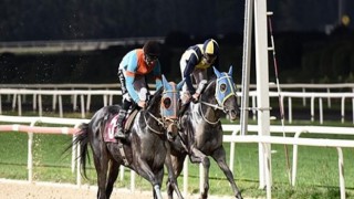 Kitvak Koşusu’nu “Vaiz” Kazandı