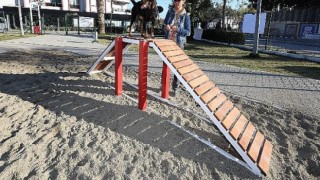 Gaziemir’de köpeklere özel park açıldı