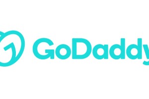 GoDaddy, en popüler dört alan adı uzantısını paylaştı