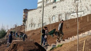 Keçiören’de Ağaçlandırma Seferberliği