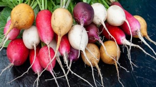 Turp İle Gelen 8 Fayda