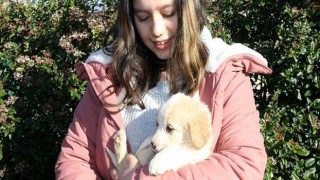 3 bin 373 sokak hayvanı sıcak yuvaya kavuştu