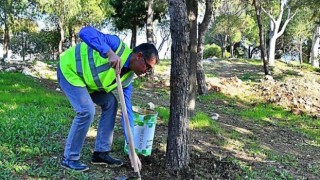 Bitki atıkları ekonomiye kazandırılıyor