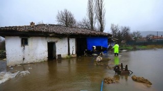 Büyükşehir ekipleri mahsur kalan hayvanları kurtardı