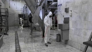 Büyükşehir modern Mezbahalarda kaliteli hizmet üretiyor