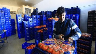 Büyükşehir, toptancı hali esnafına “kefil” oluyor