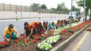 Diyarbakır 2021’de 3 milyon 500 bin mevsimlik çiçekle süslendi