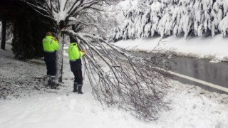 Gebze bölgesinde kar yağışında kırılan ağaç dalları kaldırılıyor