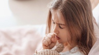 Influenza (domuz gribi) çok yaygın görülüyor!