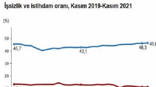 İşgücü İstatistikleri, Kasım 2021