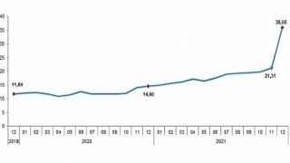 Tüketici Fiyat Endeksi, Aralık 2021