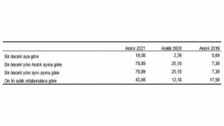 Yurt İçi Üretici Fiyat Endeksi, Aralık 2021