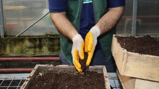 Gölbaşı Belediyesi Ata Tohumlarını Toprakla Buluşturdu