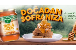 Balın faydaları neler? Bal neye iyi gelir?