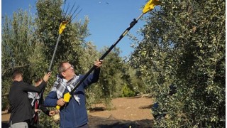 Mesut Ergin, ”Zeytinime Dokunma”